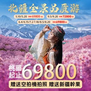 2至6人大美北疆13日小團